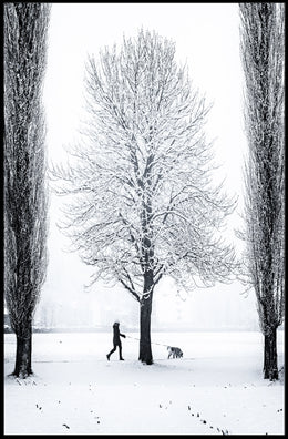 Winter Serenity: Dog Walker in Snowy Landscape