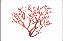 Red Coral Branch Minimalist Art Poster Print