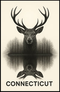 Connecticut Wildlife Reflection Poster