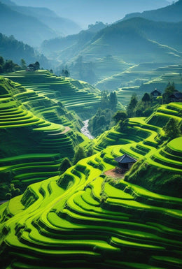 Beautiful Terraced Rice Fields Art Print Cultural Poster