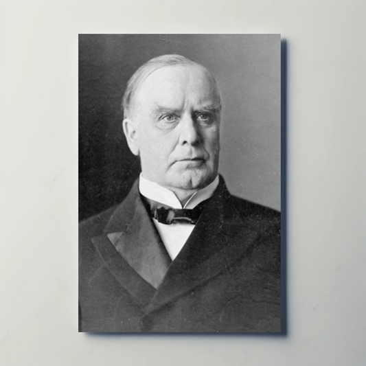 Wiliam McKinley 25th President Of The United States Photo