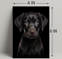 Portrait Of A Black Labrador Puppy Poster PosterGoat