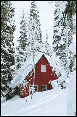 Winter Wonderland Cabin Poster
