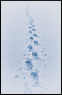Winter Wilderness Footprints Landscape Poster - Abstract or Artistic Poster