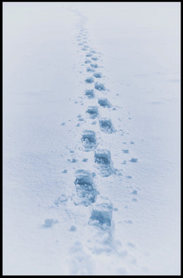 Winter Wilderness Footprints Landscape Poster - Abstract or Artistic Poster