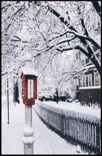 Winter Serenity Poster