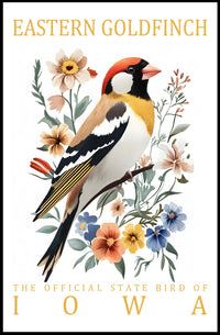 Eastern Goldfinch Iowa State Bird Art Poster