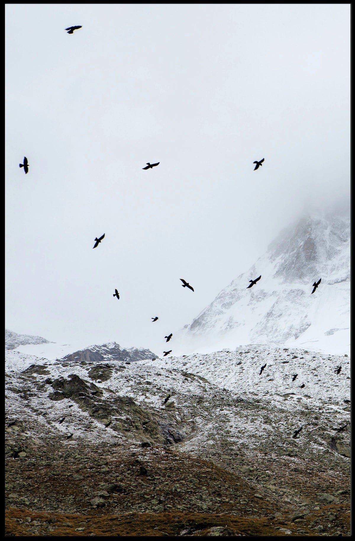 Birds In Flight Over Snowy Peaks Poster