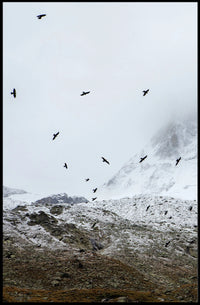 Birds In Flight Over Snowy Peaks Poster