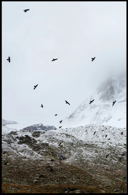 Birds In Flight Over Snowy Peaks Poster