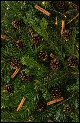 Festive Natural Christmas Arrangement Poster - Abstract or Artistic Poster