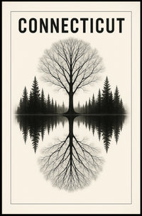 Connecticut Reflections Poster