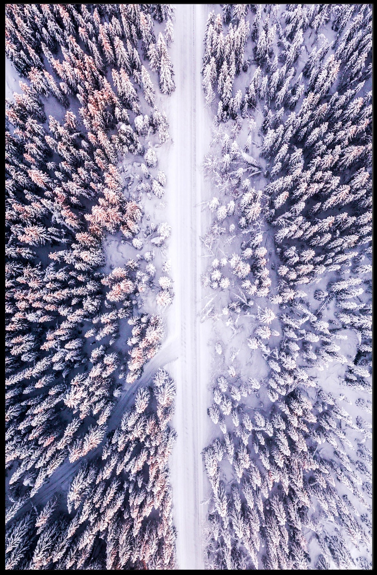 Winter Wonderland Aerial View Poster