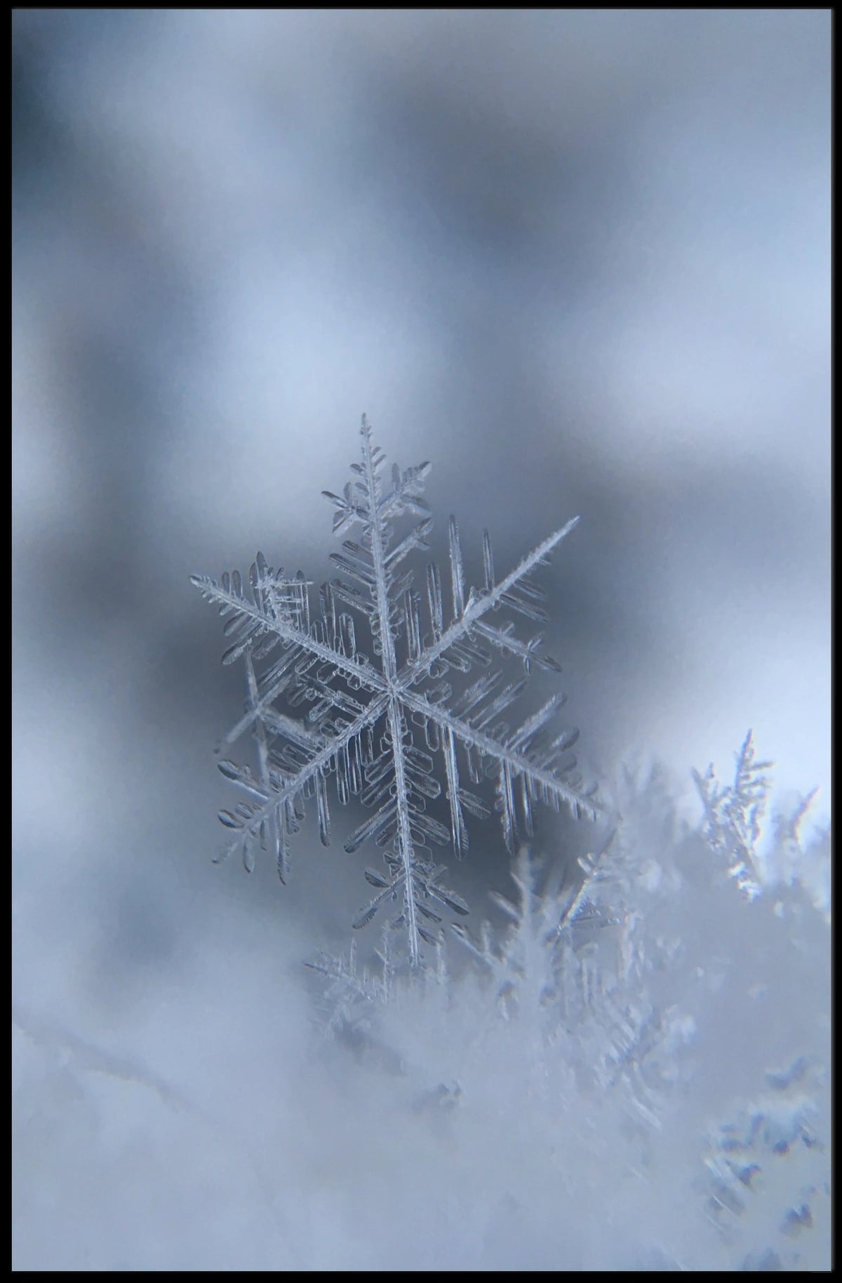 Intricately Detailed Snowflake Photorealistic Artistic Poster