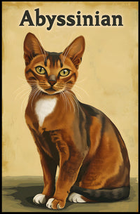 Abyssinian Cat Portrait Artwork Living Room Wall Poster