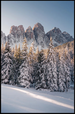 Breathtaking Winter Scene in a National Park Poster