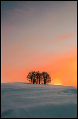 Serene Winter Sunrise Photography Print - Abstract or Artistic Poster