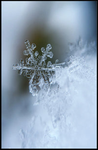 Intricate Snowflake Winter Scene Photorealistic Artistic Poster
