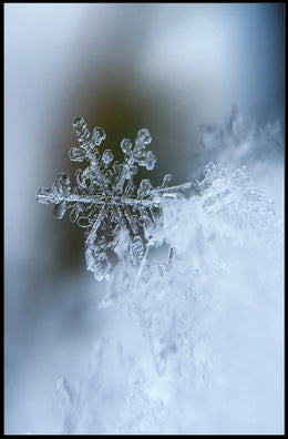 Intricate Snowflake Winter Scene Photorealistic Artistic Poster