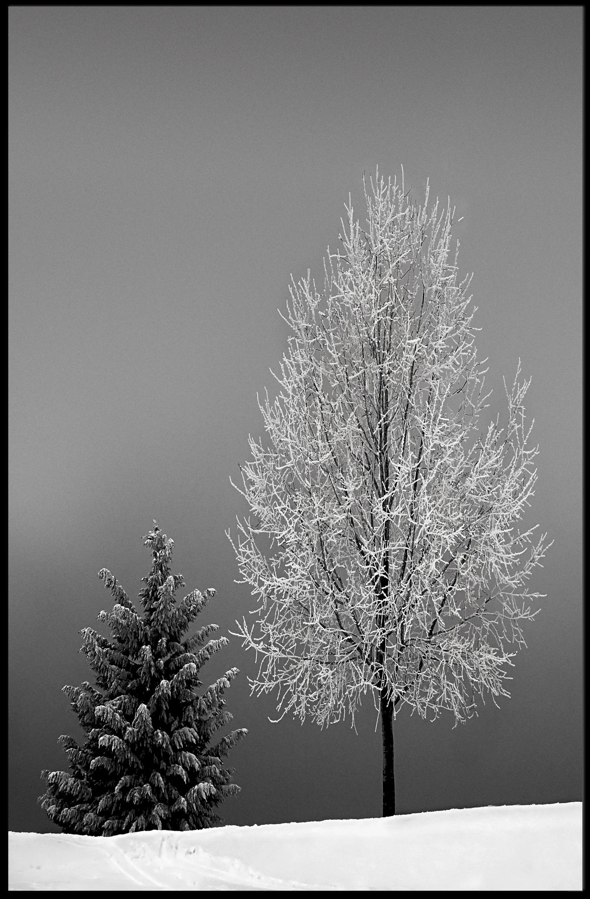 Serene Winter Landscape: Minimalist Black and White Artistic Poster