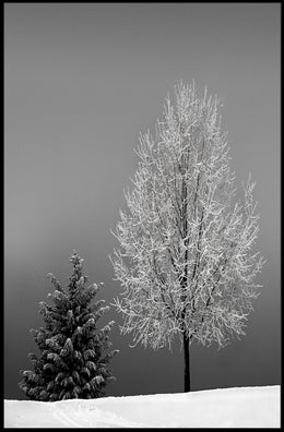 Serene Winter Landscape: Minimalist Black and White Artistic Poster
