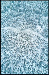 Winter Serenity: Aerial Forest View National Park Poster