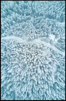 Winter Serenity: Aerial Forest View National Park Poster