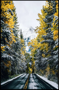 Autumnal Forest Road with Snow-Capped Mountain Poster