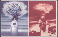 Contrasting Visions Poster