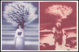 Contrasting Visions Poster