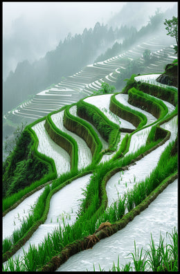 Terraced Rice Fields Serenity: Cultural or Heritage Poster PosterGoat