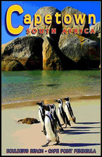 Boulder's Beach Penguins Travel Poster PosterGoat
