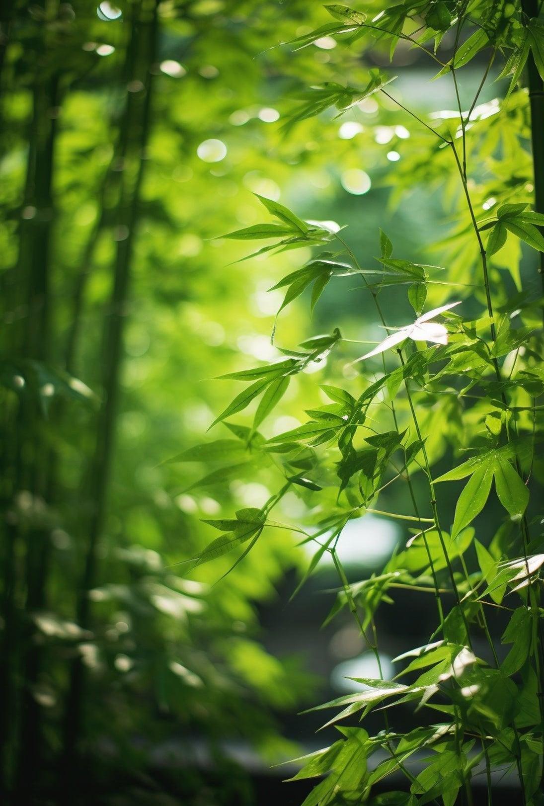 Serene Bamboo Grove Art Print: Abstract, Artistic, or Pop Culture Poster