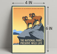 Preserve Wildlife in National Parks Poster PosterGoat