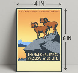 Preserve Wildlife in National Parks Poster PosterGoat
