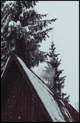 Serene Winter Cabin Scene National Park Poster