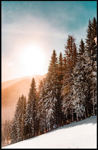 Serene Winter Landscape Print - National Park Poster