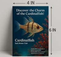Discover the Charm of the Cardinalfish Poster PosterGoat