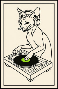 Dj Cat Groove Poster