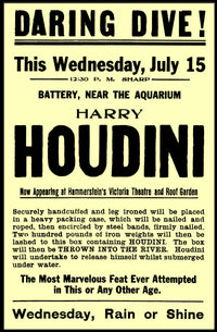 Houdini Daring Dive Early 1900s Historical Poster
