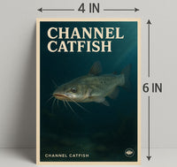 Channel Catfish Poster PosterGoat