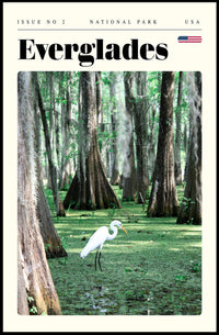Everglades National Park Travel Poster Scenic Print