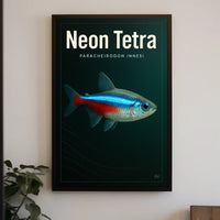 Neon Tetra Paracheirodon Innesi Poster PosterGoat
