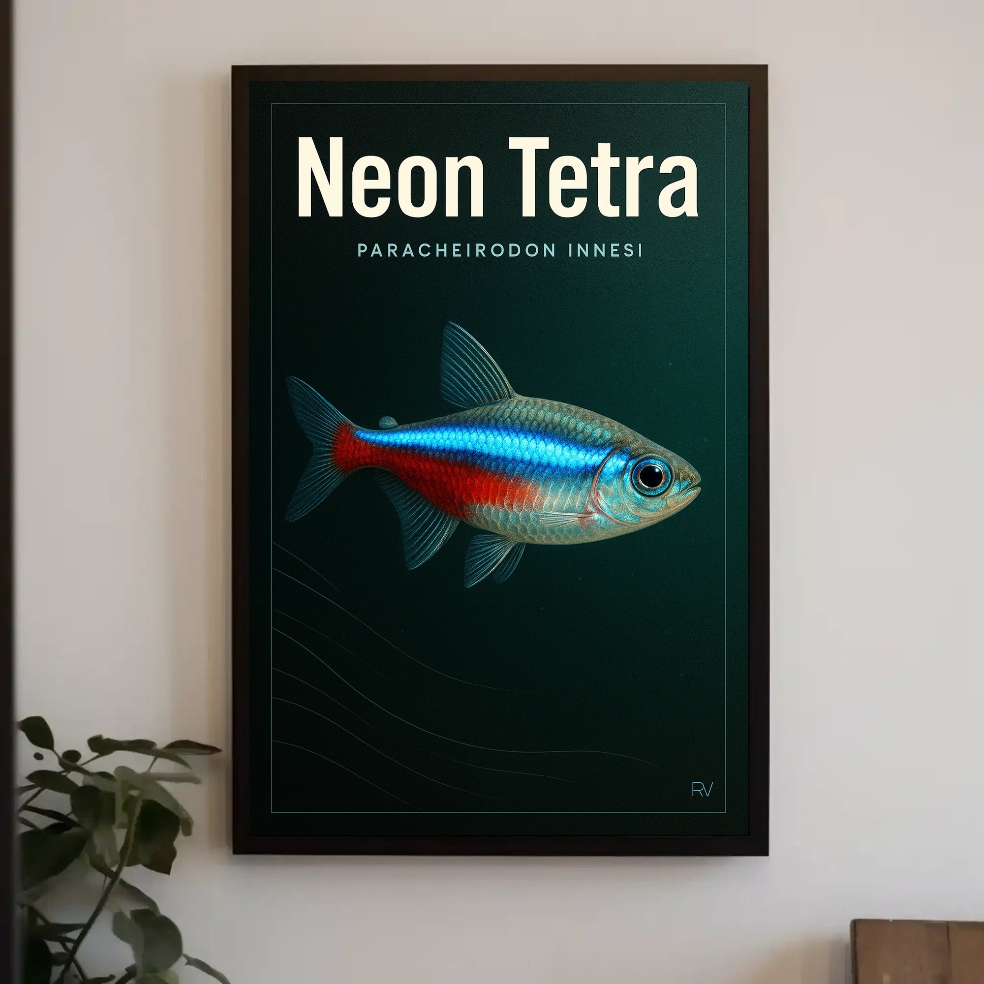 Neon Tetra Paracheirodon Innesi Poster PosterGoat