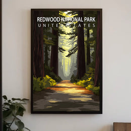 Redwood National Park Poster