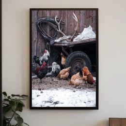 Rustic Farmyard Scene Poster