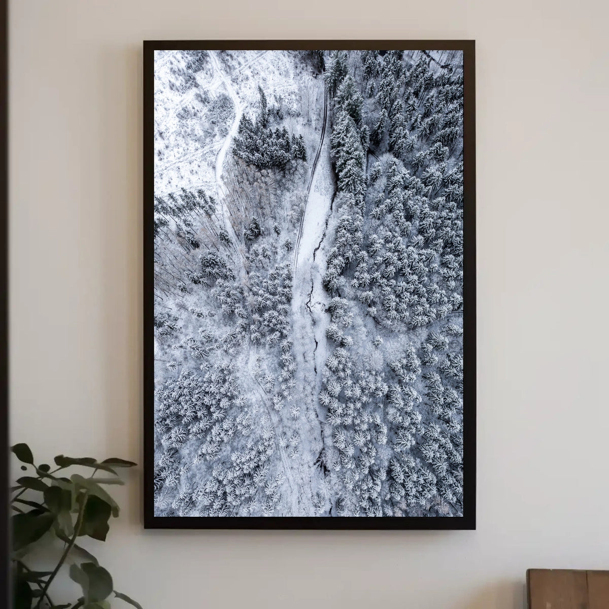 Winter Wonderland From Above Poster