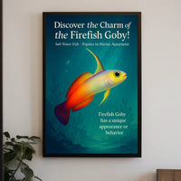 Discover The Charm Of The Firefish Goby Poster