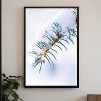 Winters Touch on Pine Poster