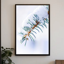 Winters Touch on Pine Poster